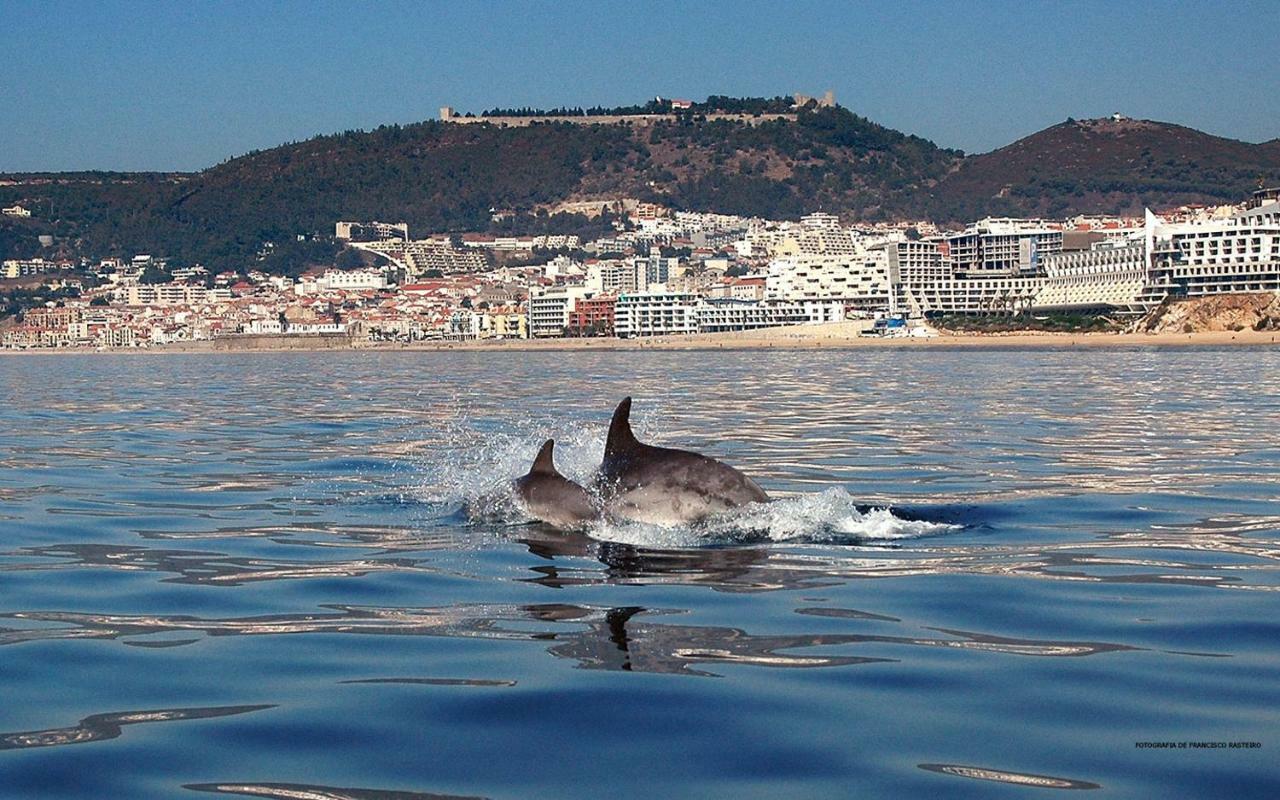 Felp Sesimbra Beach 1006 Buitenkant foto